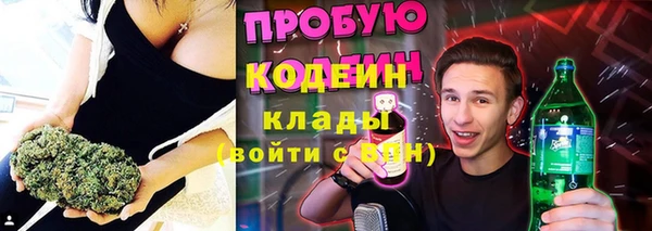 ешки Гусь-Хрустальный