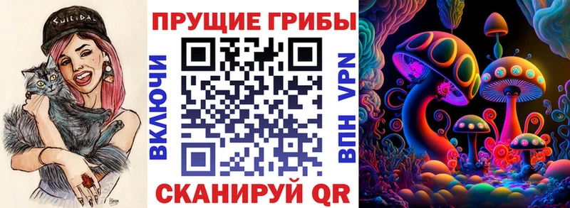 Купить  Козьмодемьянск  Галлюциногенные грибы MAGIC MUSHROOMS 