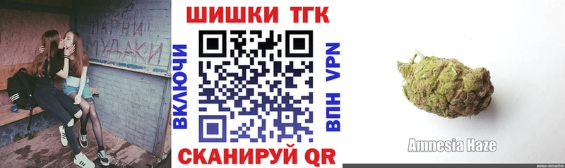 Купить закладки  Козьмодемьянск  Бошки Шишки SATIVA & INDICA 